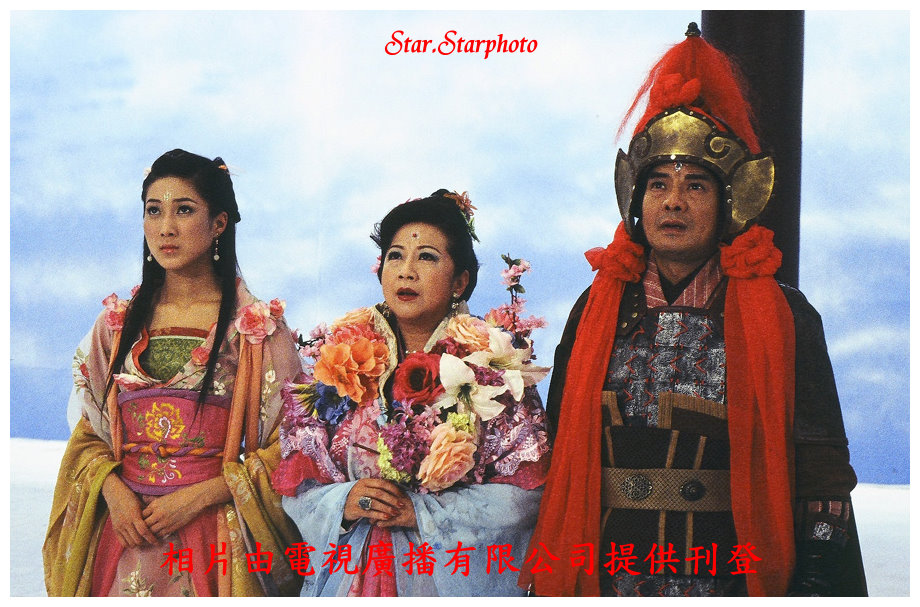 《非常岳母》海报第1张图片 《非常岳母》海报第1张图片